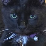 Lavonne Phillips Snodgrass - @snodgrasslavonne - Instagram