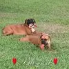 LaDonna Vickers487 - @ladonnavickers - TikTok