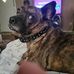 Lavon Rodgers - Facebook