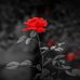 Lavanya Johnson - Facebook