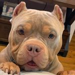 Lawanda Lowe - @lawlowe18 - Instagram