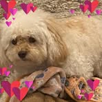 Lawanda Mitchell - Facebook