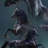 lawaynemiller965 - @lawaynemiller965 - TikTok