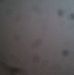 Lawayne Robinson - Facebook