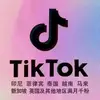 TK涨真人粉35一千＋主页V（收徒招刷粉代理） - @abellawrenceovk - TikTok