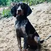 addisonlawrence31 - @addison.lawrence8 - TikTok