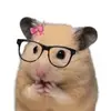 SAYANG 🐹💗 - @lawrence.aldrich - TikTok