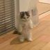 Lawrence Alonzo - Facebook