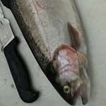 Lawrence Appleby - @boonie222 - Instagram