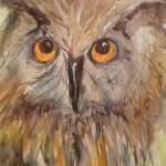 Lawrence Arduino - @lawrencearduino - Instagram