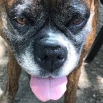 Lawrence c Bauer - @lawrencecbauer - Instagram