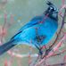 Lawrence Bobbitt - Facebook