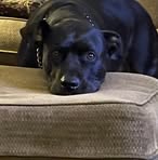 Lawrence Barnwell - Facebook