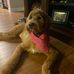Steve Blocher - Facebook