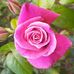 Lawrence Blount - Facebook