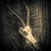 Lawrence Boatwright Photography - Facebook