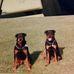 Lawrence Borden - Facebook