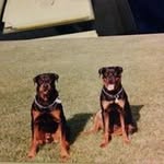 Lawrence Borden - @borden_lawrence - Instagram