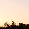 Nikysha Lawrence - @boring_4567 - TikTok