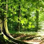 Lawrence Bowen - @lawrencebowen3053 - Instagram
