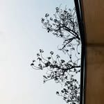Lawrence Bowles - @haxtonkohdai - Instagram