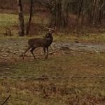 Lawrence Bridges - @bridges_lawrence - Instagram