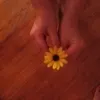 lauren.brinkman - @lauren.brinkman - TikTok