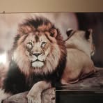 Larry Bristow - Facebook
