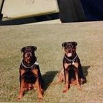 Lawrence Borden - @borden_lawrence - Instagram