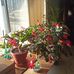 Lawrence Broden - Facebook