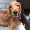 buddy.lawrence - @buddy.lawrence2 - TikTok