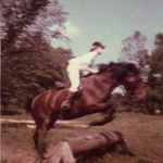 Lisa Lawrence Bullock - @lisa.engley.9 - Instagram