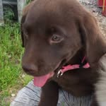 Lawrence Burgess - @burgess_lawrence - Instagram