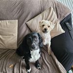 Lawrence Burnett - @loggy34 - Instagram