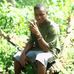 Lawrence Cabela - Facebook