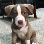 Caesar<3💕 - @caesar.lawrence - Instagram
