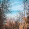 Lawrence Cannon - @lawrencecannon199 - TikTok