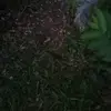 Prince Lawrence Capistrano - @prince.lawrence.c6 - TikTok
