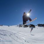 Lawrence Carroll - @lawrence.carroll - Instagram