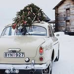Laurence Proust - @lawrencecoeur28 - Instagram