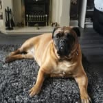 Larry 1015 - @corbettlawrence - Instagram