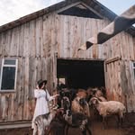 Cornelius Lawrence - @corneliuslawrence86 - Instagram