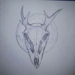 Lawrence C. Crowley - @crows_marauders - Instagram