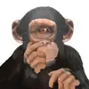 lawrencecurrie287 - @lawrencecurrie287 - TikTok