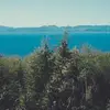 LawrenceDarby7089 - @lawrencedarby7089 - TikTok