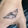 Lawrence Adell - @lawrence.adell - TikTok