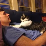 Lawrence Dodd - @lddodd1 - Instagram