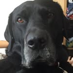 Lawrence Dodd - @lawrence_dodd2003 - Instagram