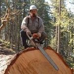 Doyle Lawrence - @doylelawrence4080 - Instagram