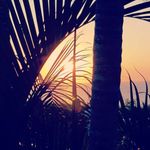 Laurence Dumas - @dumaslaurence1 - Instagram